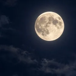 MOON LIGHT  ムーンライト