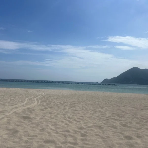 初海🏝