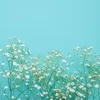 経験者さん優遇します♪のサムネイル