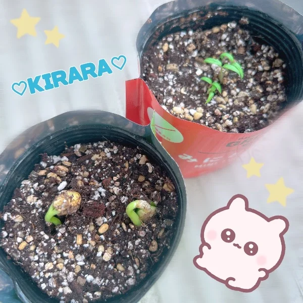 ⭐️07/04💘出勤⭐️