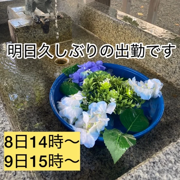 お久しぶりです✨
