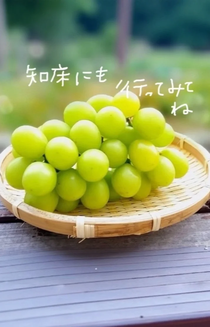 ちょ……北海道の各地に対する暴言……のお客様ありがとうござい