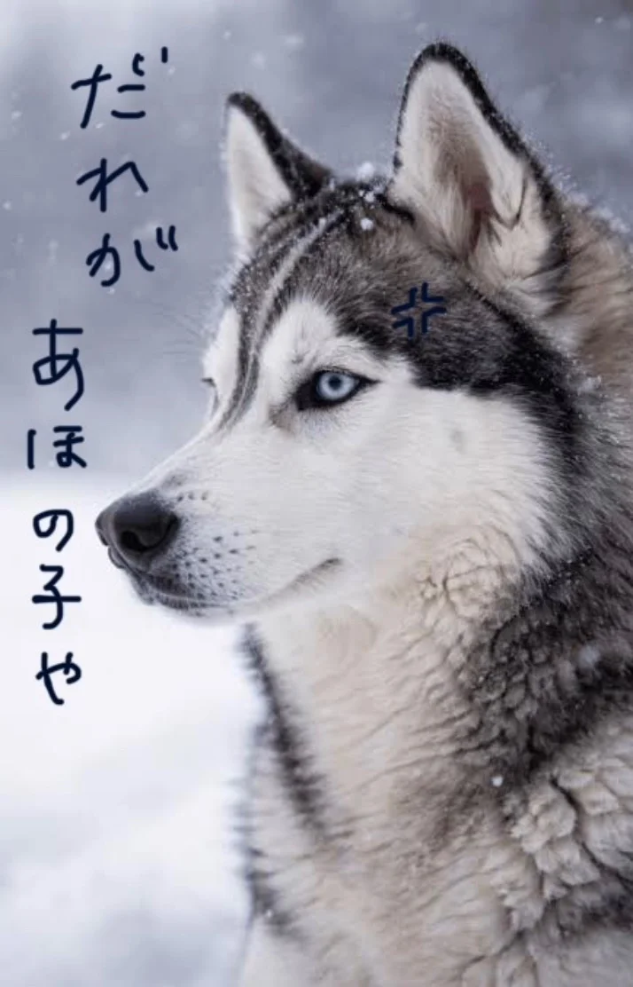 迷って選びきれずフリーで入りましたって言ってしまう正直者なお