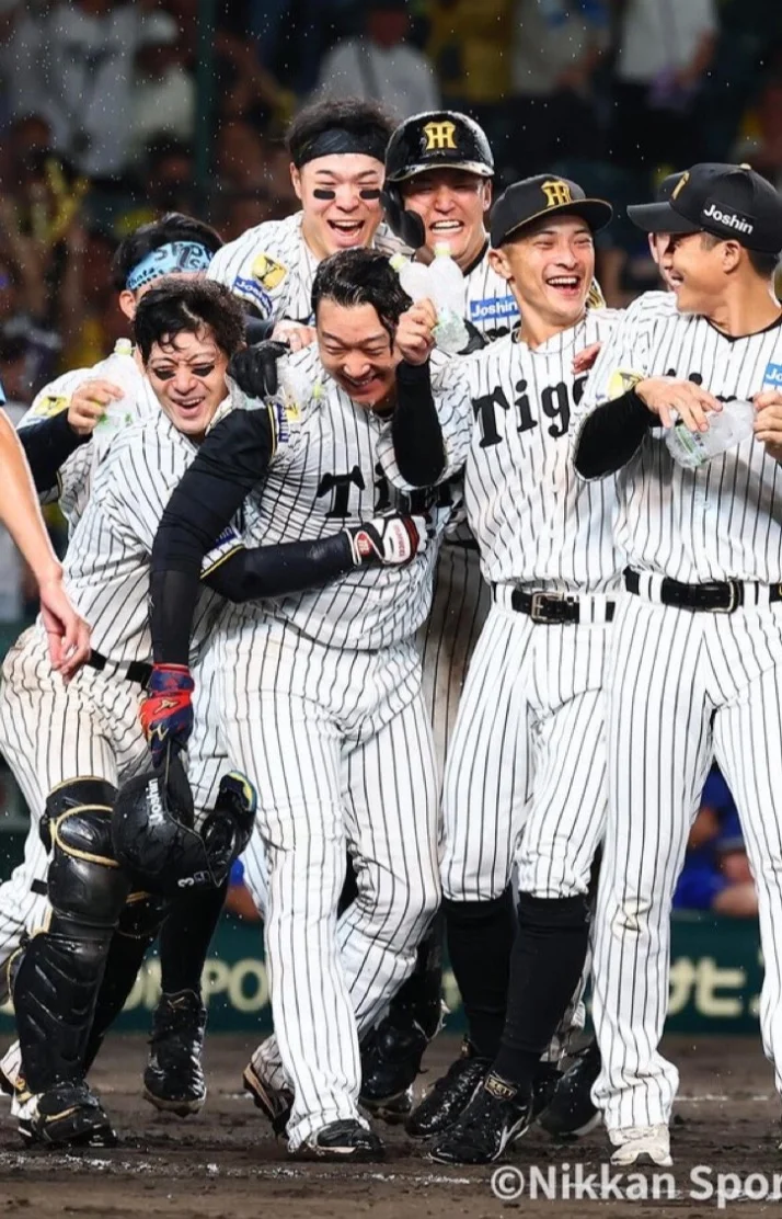 阪神の優●とシーサーがどうなっちゃうのか気になって夜しか眠れ
