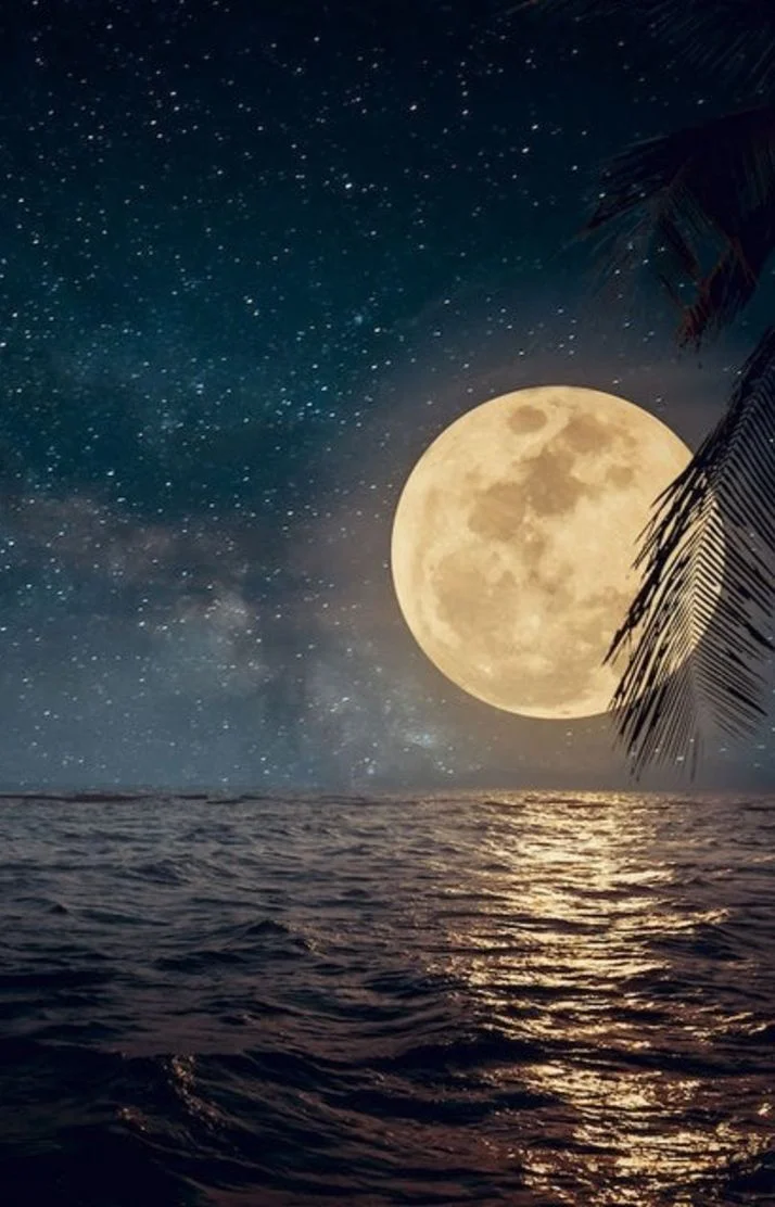 シフトアップデスデス‹‹\(´ω` )/››💕