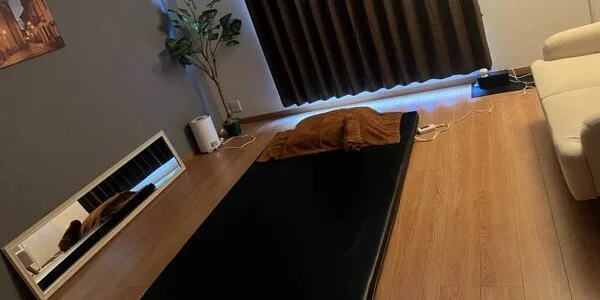 きゅーてぃー♡はにーの待機室写真