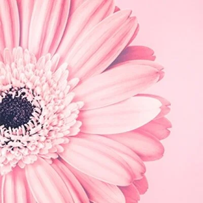 お店の特徴その3