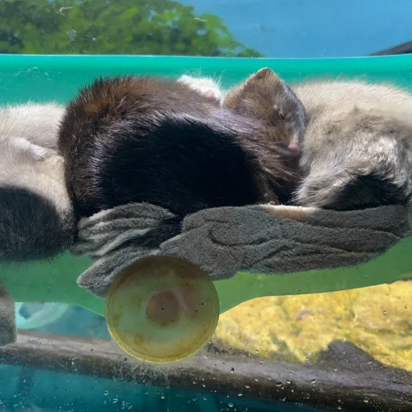 次のご案内✨