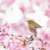 今からでも間に合います！のサムネイル