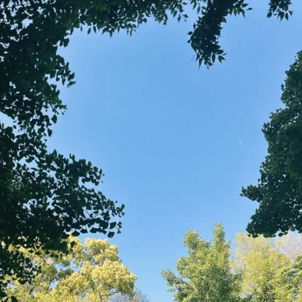 いつもありがとうございます🫶🏻