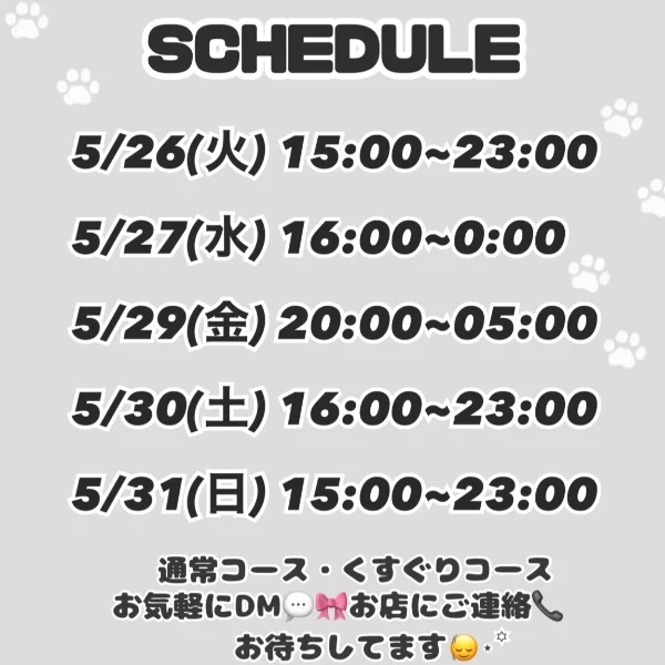 今週のSCHEDULE🐈‍⬛🐾𓈒 𓂂𓏸