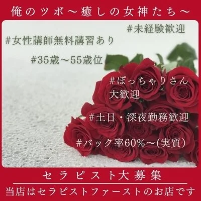 俺のツボ～癒しの女神たち～のメリットイメージ(3)