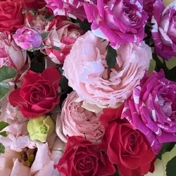 上質な癒しを追求した特別空間へ🕊️✨