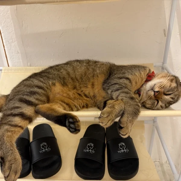 久しぶりの出勤です😊