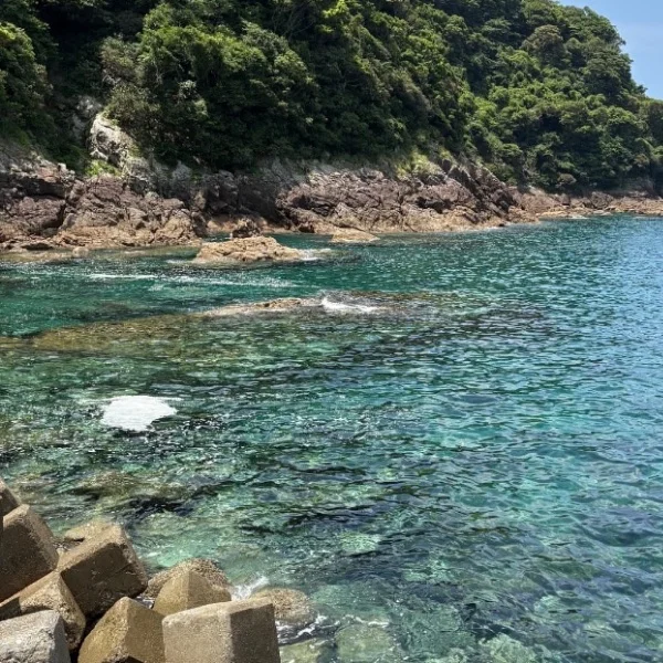 本日⏰18時よりお待ちしてます‼️