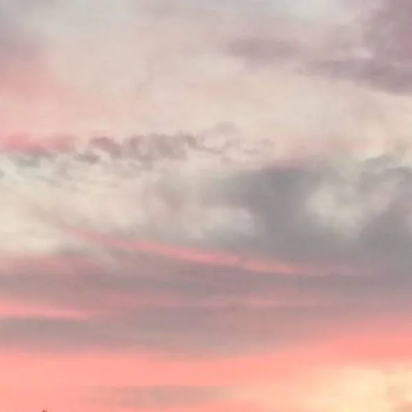 夕焼けハンター✨