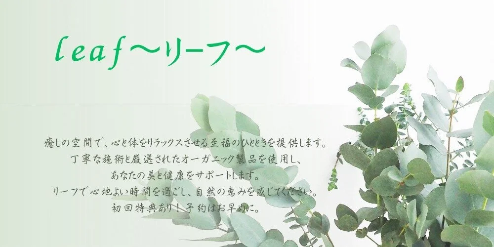 leaf〜リーフ〜のカバー画像