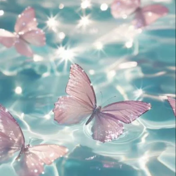 胡蝶🦋