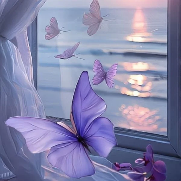 胡蝶🦋