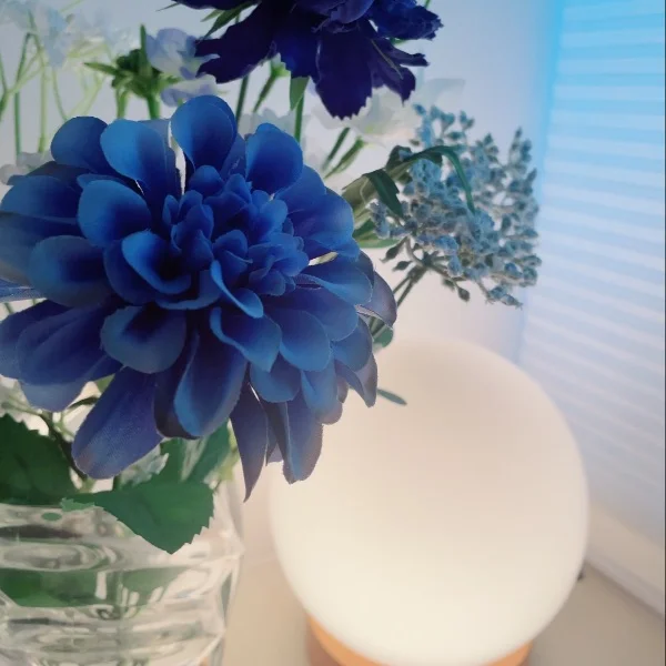 ✿今日は21:00までいます✿