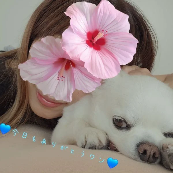 🌹19日(金)🌹