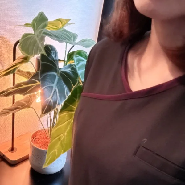 本日21時から💗