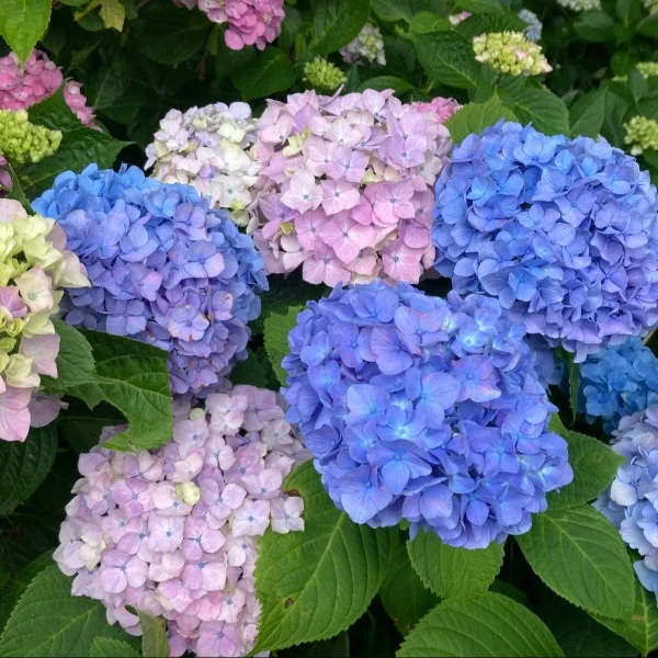 お礼です❤️