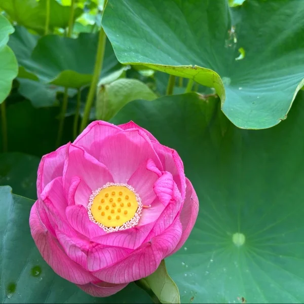 息抜きに…