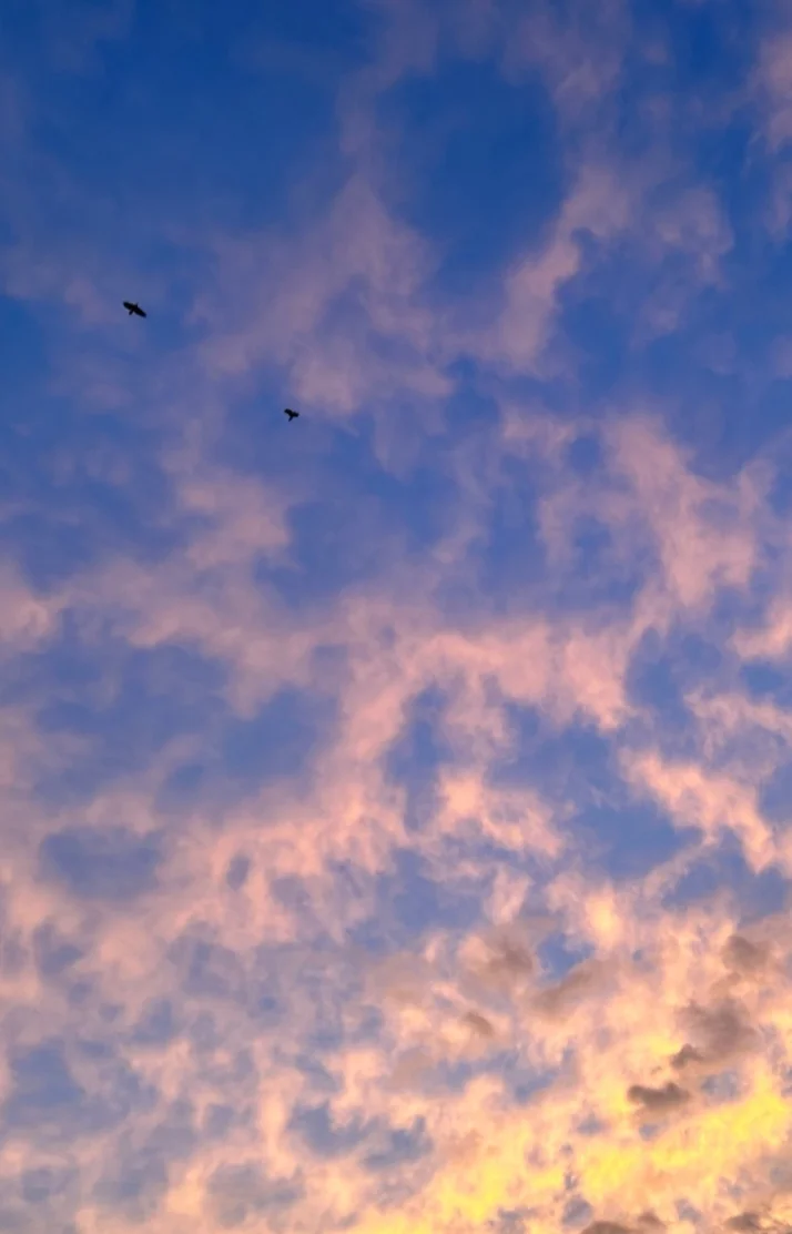 秋空🍂
