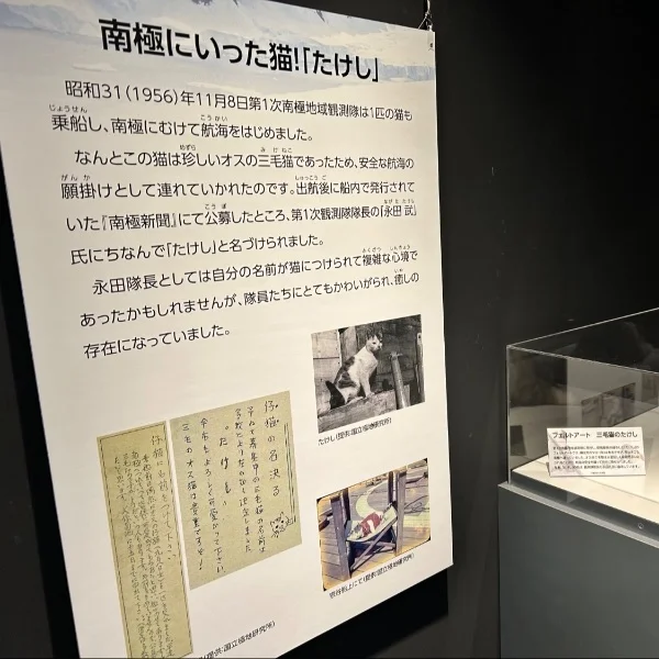 たけし