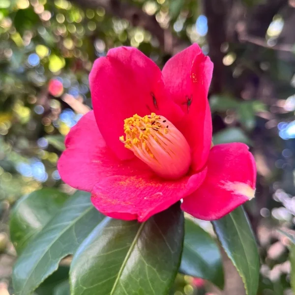 昨日はありがとうございました💕
