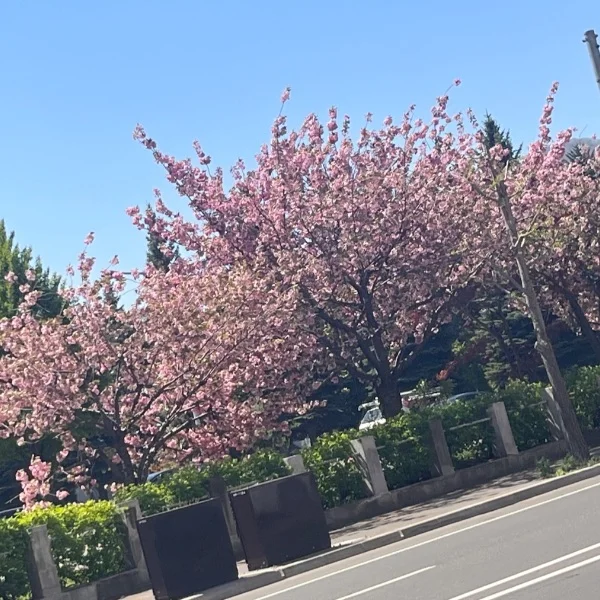 暖かいね💕