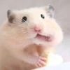 たすけてくださいのサムネイル
