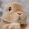 質問にお答えします！のサムネイル