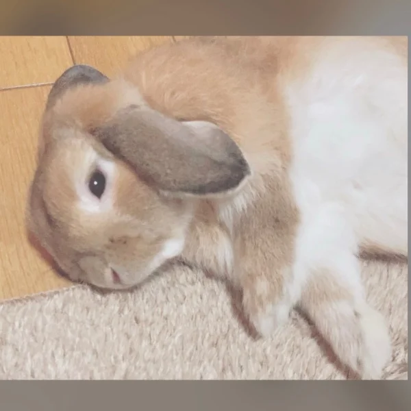 緊張と♡…