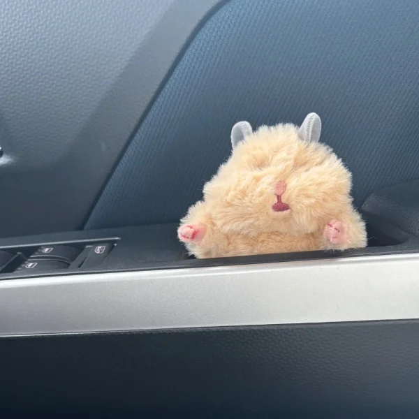 はむ🐹