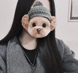 本日🈵です𐔌՞•̥ · •̥՞𐦯