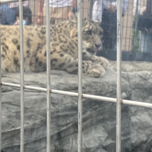 出勤しました