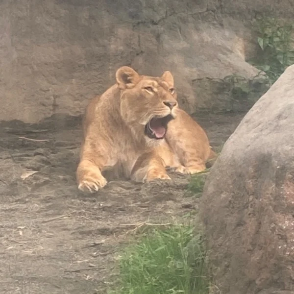 ☺️