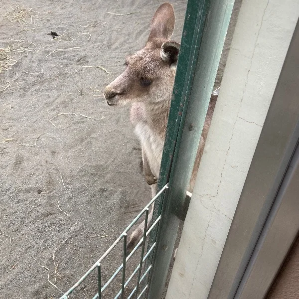 出勤しました！