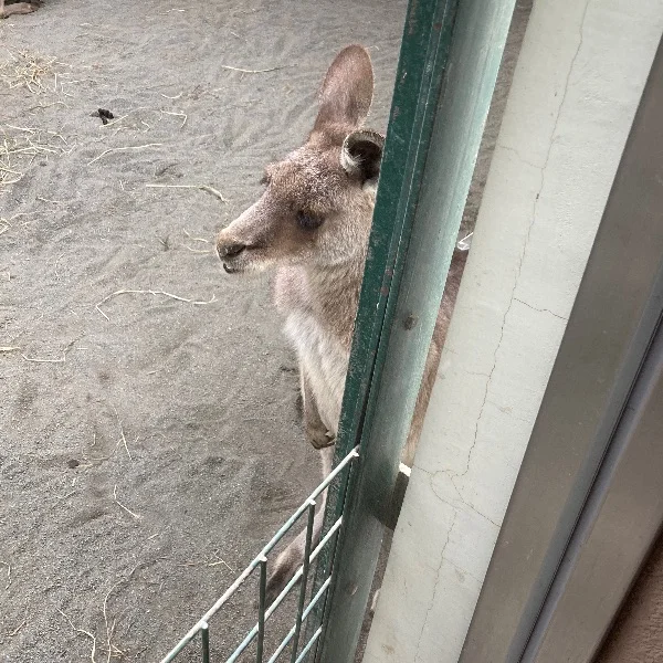 出勤しました！