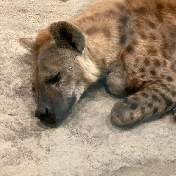 出勤してます☆