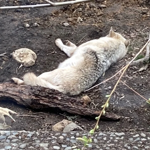 出勤しました！