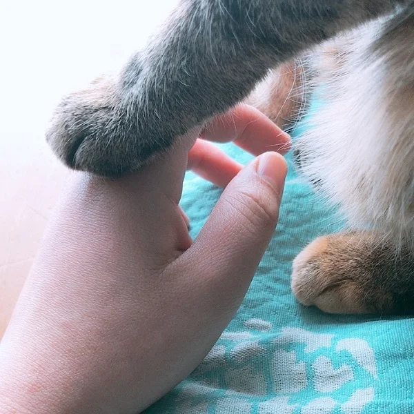 5月分
