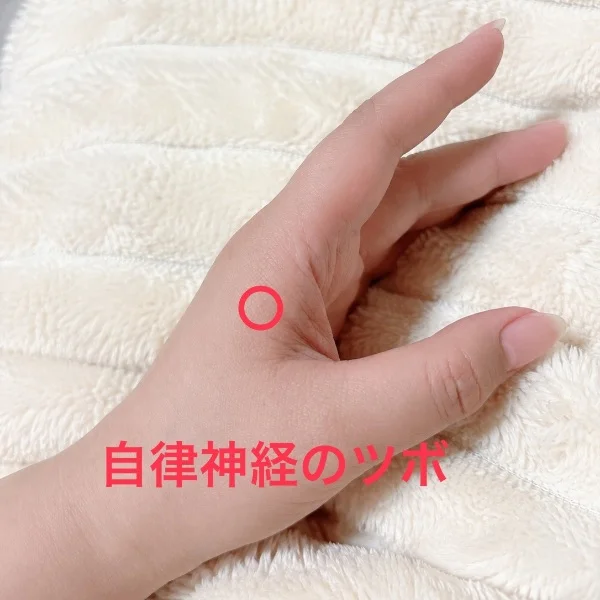 もう夏ですね