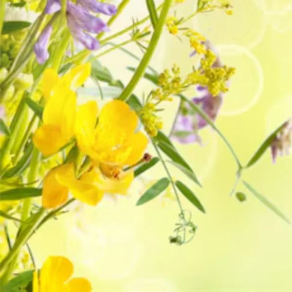 出勤