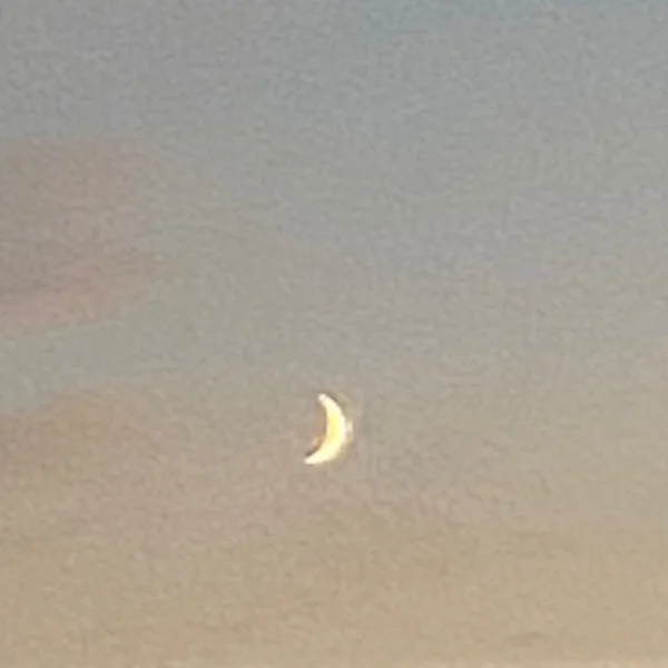 ありがとうございました🫶🏻