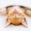 セラピストさん急募集！！のサムネイル