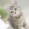 安心・安全のメンズエステ店で一緒に働いてみませんか？のサムネイル