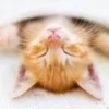 業績好調につき店舗拡大中です！のサムネイル